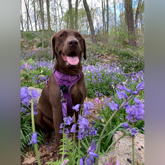 WELCOME to my closet! About me: - Picture 5 of 15